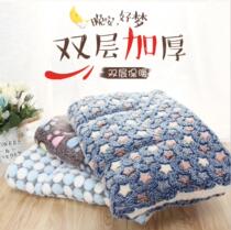 Pet autumn and winter thick flannel warm mat Teddy than bear dog kennel cat mat Koji cartoon