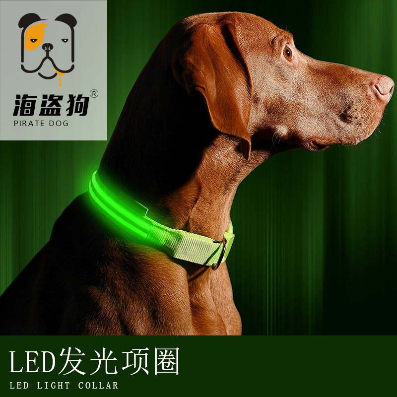 Pooch Luminous Item Circle Pet LED Item Circle Luminous Usb Charged Teddy Gold Wool Dubindu High Dog Traction