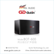 Original Gutin KTV speaker 10 inch card package chain project Family Villa club meeting