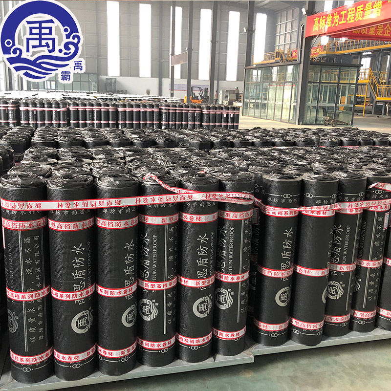 4mm modified asphalt resistant root puncture waterproof coil SBS Polymer-type polyester tyre modified bitumen waterproof coil