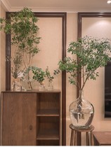 Suspension Bell Horse Drunken Wood Vase Water Raised Flower Arrangement Nordic American Small Mouth Big Belly Transparent Glass Big Landing