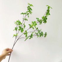 Nordic simulation green plant Japanese hanging bell plant green leafy branch fake flower living-room floral dining table TV cabinet decoration flower