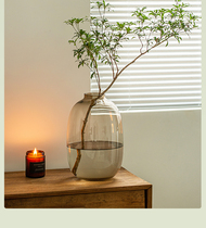 Horse Drunkenwood Hanging Bell Hydroponic Glass Vase Small Mouth Large Belly American Modern Flower Floral Living-room Table Hem