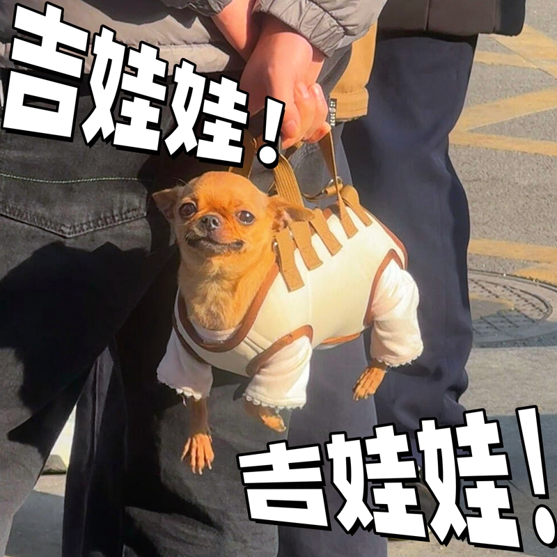 Dog Carrier Pet Handbag Travel Bag for Cats and Dogs, Universal for Chihuahuas and Small Dogs, with Leash, Crossbody, Breathable