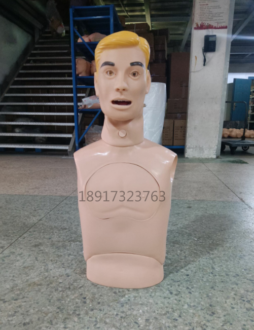 高级鼻胃管与气管护理模型插管训练模型胃管插管模型护理教学模型