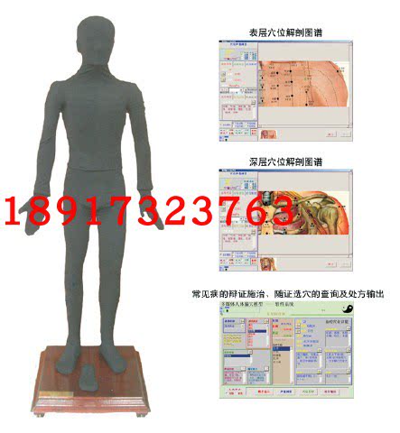 多媒体按摩点穴电子人体模型 计算机控制按摩教学人体模型