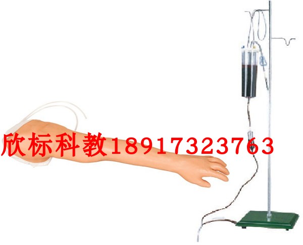 全功能完整静脉穿刺及肌肉注射训练手臂模型