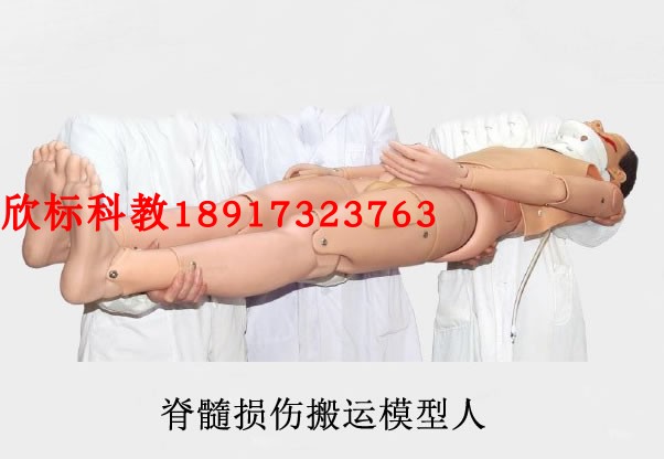 脊椎损伤搬运模型人 脊柱搬运损伤模拟人 脊髓损伤搬运模型人