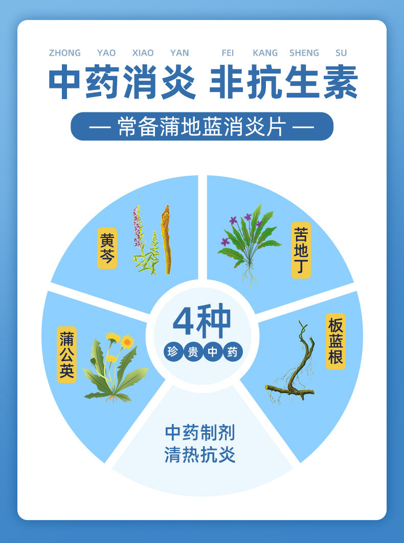 Pudilan anti-inflammatory tablets Qingrejiedu anti-inflammation detumescence 52 tablets into