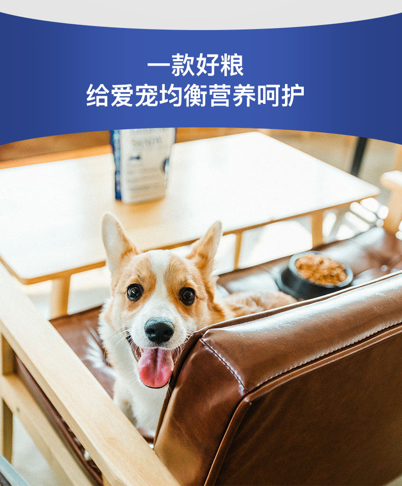 LEGEND SANDY / Blue Chicken Oatmeal Dog Food 15kg Pet Gói thức ăn chính - Chó Staples hạt mềm cho chó con