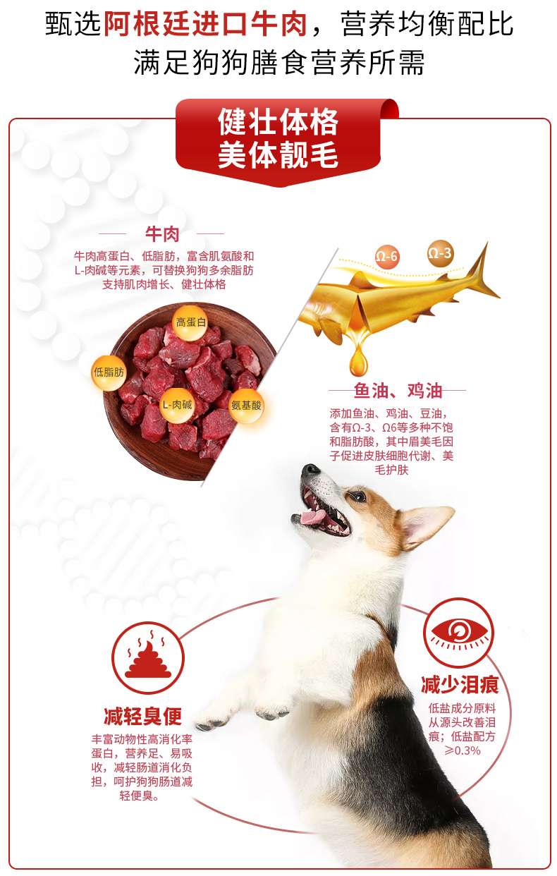 Mai Fudi thức ăn cho chó nhỏ chó đặc biệt dành cho người lớn thức ăn cho chó loại chung Teddy gấu Xiongji búp bê thịt bò thức ăn đôi 2kg - Chó Staples thức ăn chó royal canin