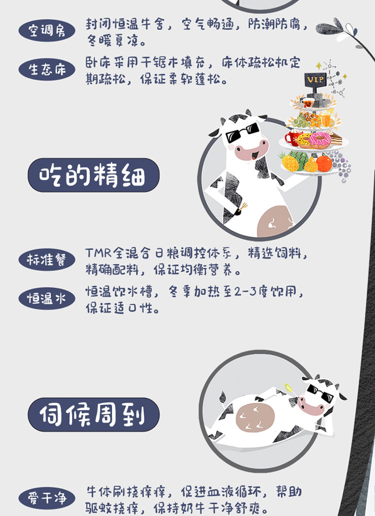 安享好物 安享B级纯奶-君乐宝遇见奶牛纯牛奶 国标 