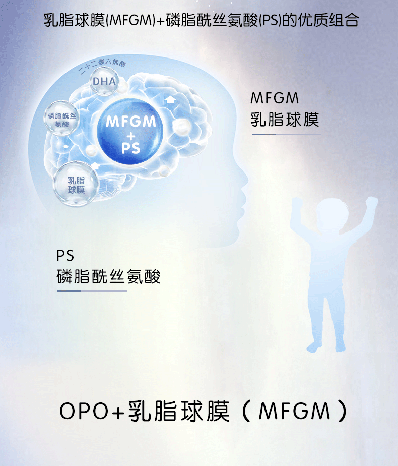 君乐宝 君小宝 奶粉3岁以上800g*4罐 图3