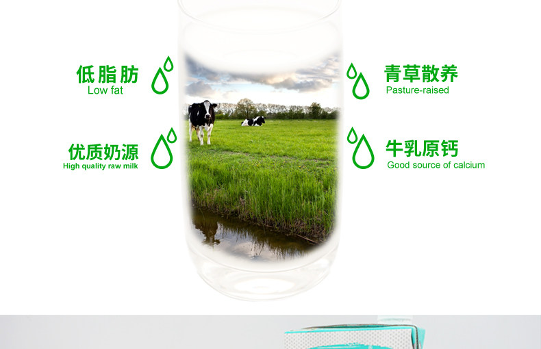 我们买过 澳大利亚 放牧原生 无乳糖低脂牛奶 1L*6盒*2件 图14