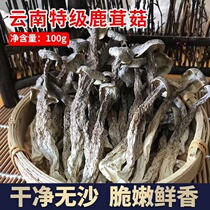 Yunnan specialty new pilose antler mushroom dried 100g fresh pilose antler mushroom soup ingredients sulfur-free boutique