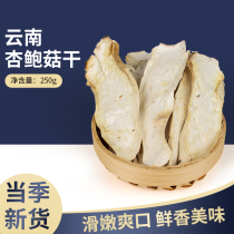 Yunnan specialty Pleurotus eryngii dry goods boutique season new 250g wild fungus Coprinus eryngii dry goods soup ingredients