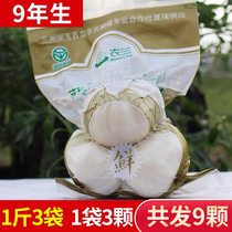 9-year-old three-headed Emperor Gansu Lanzhou Lily fresh lily 500g sweet Lily edible newly dug Lily non-dry goods