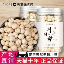 Sichuan Fritillaria Chinese herbal medicine Sichuan Fritillaria powder 50g Sichuan Fritillaria official flagship store Sichuan Fritillaria grains non-special grade wild