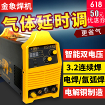 Golden Elephant TIG-250A argon-arc welding electric welding dual-use welding machine Industry Level 220V Home Small welding machine