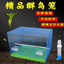  Parrot bird cage starling breeding literary bird metal cage large oversized bird pigeon household breeding cage group bird cage