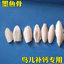  Cuttlefish bone sea otter tiger skin peony starling parrot turtle squirrel calcium supplement powder egg rice add pet forest