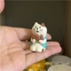 Кошки санмао едят окунь, жареные