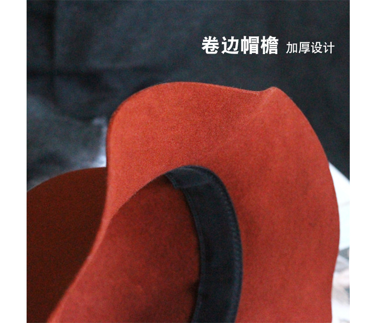 Chapeau pour femme      en Poilue - Ref 3234105 Image 29