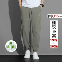 Абрикосовые шелковые штаны, 115см