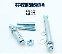Blue and white galvanized metal outer expansion screw iron swell and burst bolt expansion pipe screw iron rising pipe bolt M6-M30