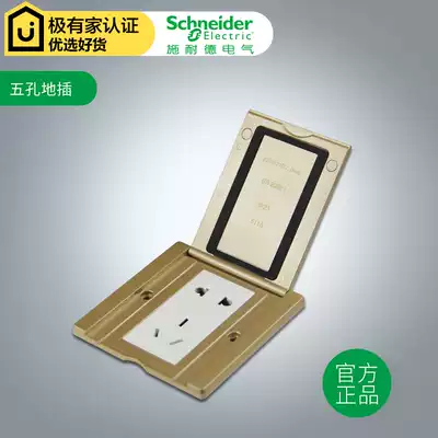 Schneider socket Open Type 86 five-hole ground plug 10A two-three pole ground socket