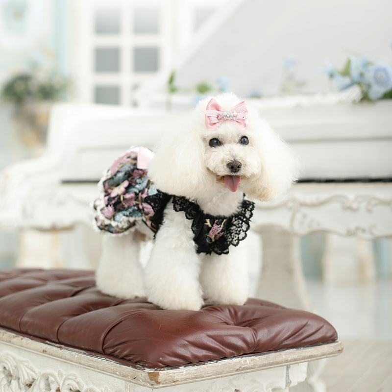 Handmade Black Floral Hollow-Out Summer Dress for Dogs, Thin Pet Dress for Cats, Clothing for Teddy, Poodle, and Pomeranian