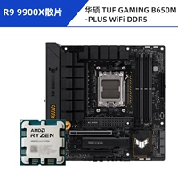 R9 9900x Lose Chip + Asus Tuf Gaming B650M-плюс WiFi