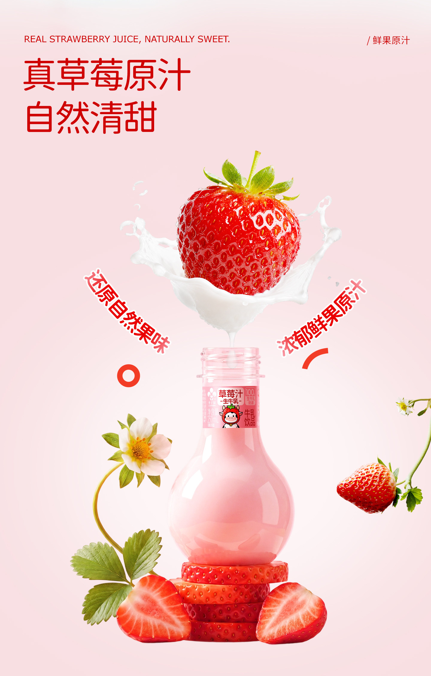 安享好物 安享D级含乳饮料-李子园灯泡 草莓牛奶  