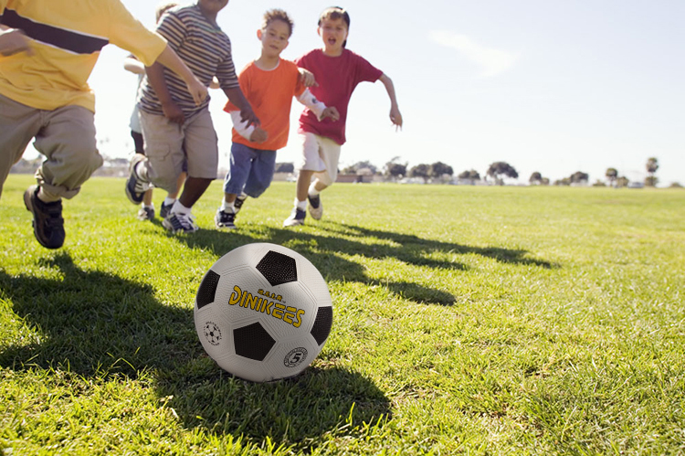 Ballon de foot - Ref 7410 Image 22