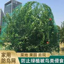 Bird-proof mesh plant Grape Isolation Hood Outdoor Garden Fruit Tree Vegetable Garden Orchard Cherry Mesh Hood Vegetable Silk Screen