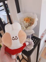 Smile Buns Sotyle Rabbit (маленький 22 см)