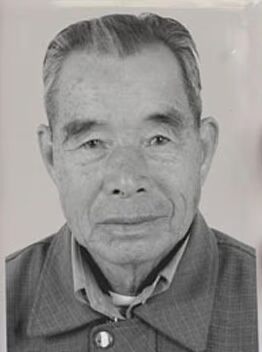 Miễn phí sơn, không cắm, sứ, mực, mua, gửi ảnh cũ, hướng dẫn sửa chữa, máy in phun, khuyến mãi đặc biệt mực máy in epson l805