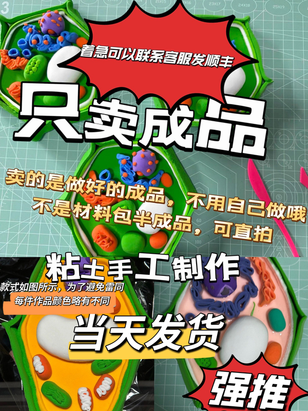 Special Offer Version of the Finished Product Shipped on the Same Day. Plant Cell Model Structure for Making, Suitable for Junior High and High School Biology, Eukaryotic Cells Special Offer Version of the Finished Product Shipped on the Same Day. Plant Cell Model Structure for Making, Suitable for Junior High and High School Biology, Eukaryotic Cells