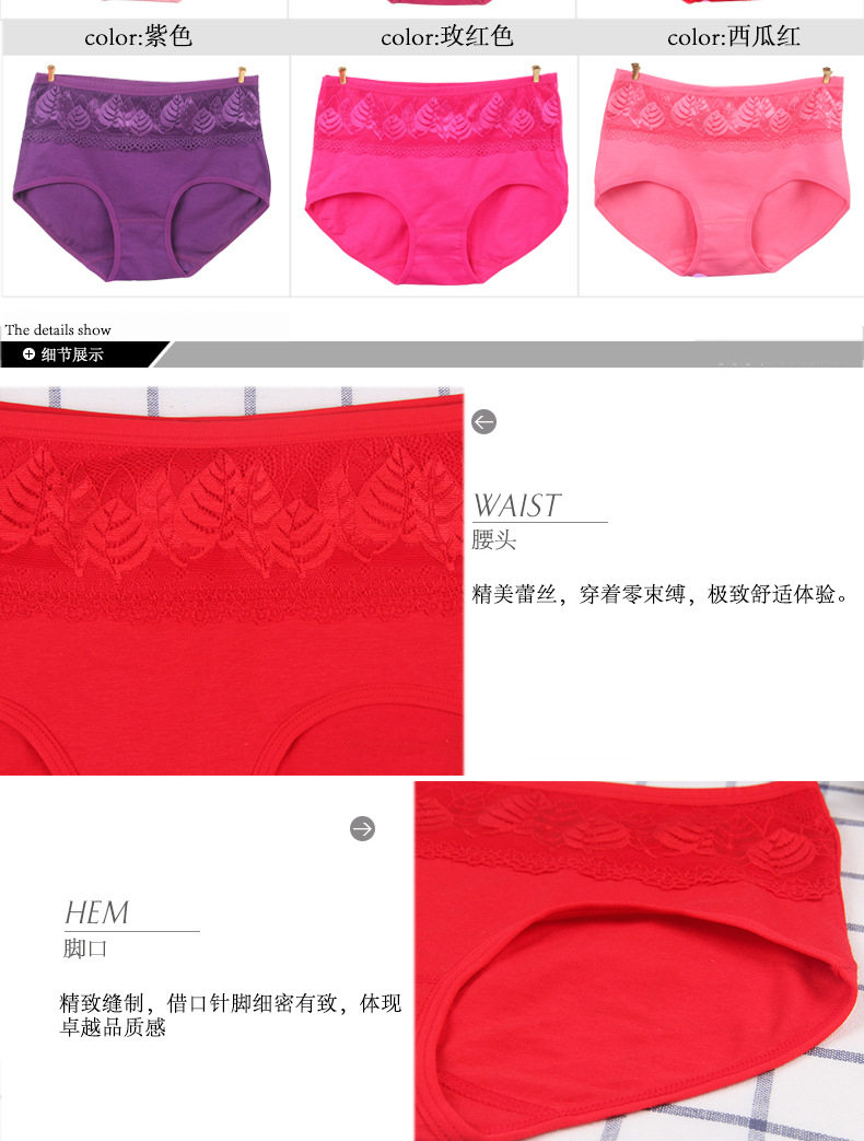 Slip jeunesse luxueux en coton - Ref 653897 Image 15