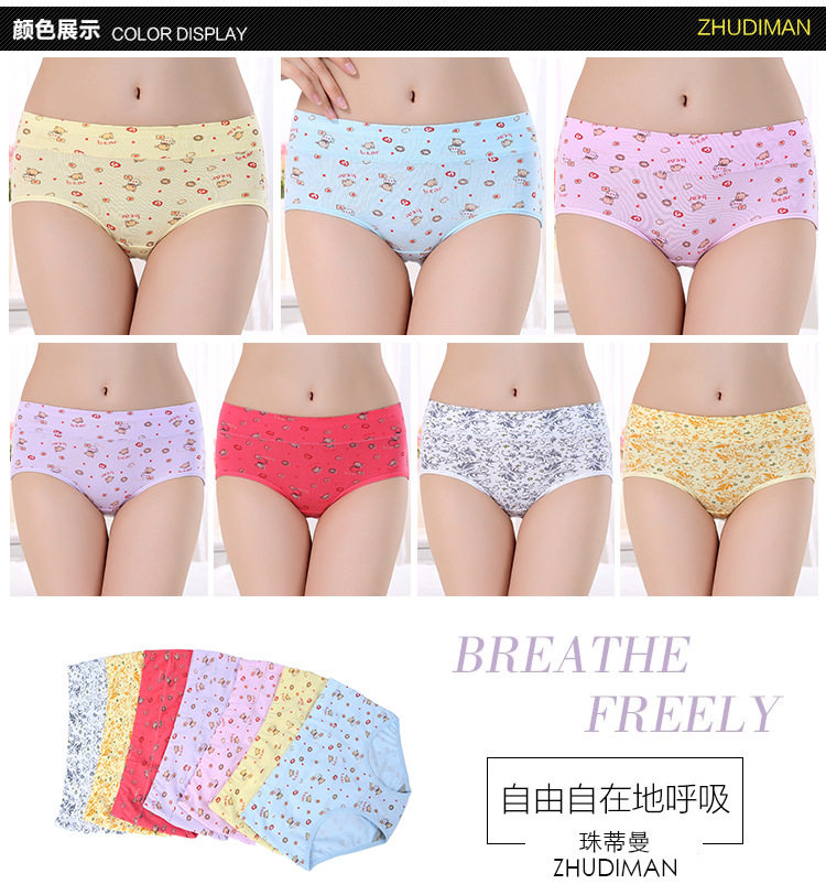 Slip jeunesse en coton - Ref 654407 Image 10