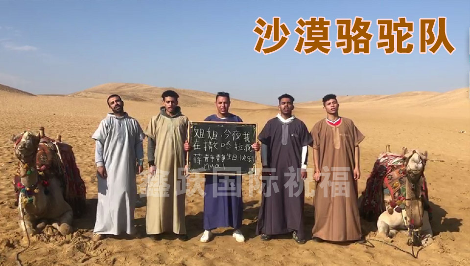 沙漠骆驼队