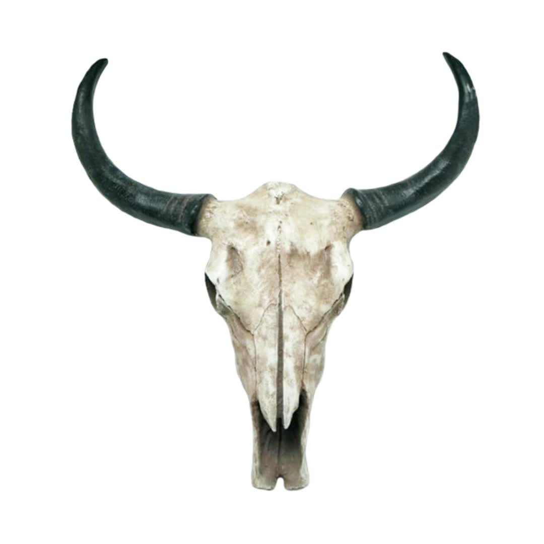 Wholesale Resin Animal Head Buffalo Custom Longhorn Cow Skull - Buy Cow  Skull,Custom Longhorn Cow Skull,Wholesale Custom Longhorn Cow Skull Product  on 