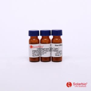 索莱宝胶原酶ⅠC8140-100mg