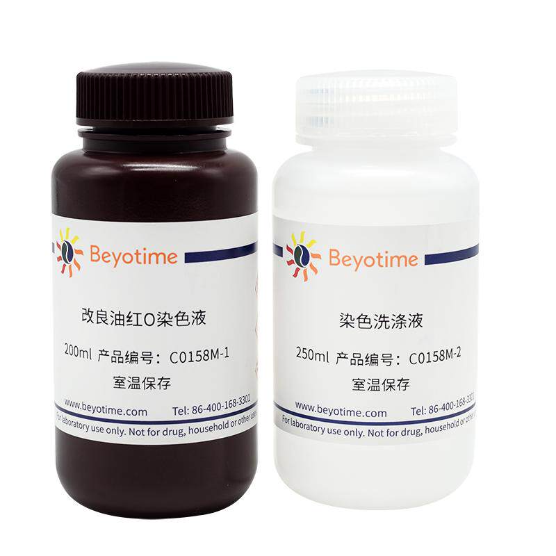 碧云天改良油红O染色试剂盒C0158