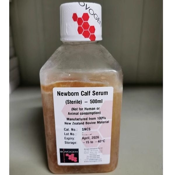 Bovogen 原瓶进口新生牛血清 Newborn Calf Serum新西兰血源 特价