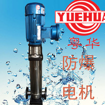 DL16 series explosion-proof water pump 2 inch 16 ton alcohol pump chemical pump