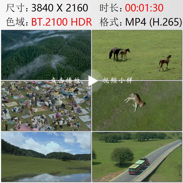 Aerial Footage of Chongqing Wulong Fairy Mountain High-Altitude Grassland Where Tourists Enjoy the Cool and Dance among a Lazy Herd of Horses
