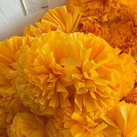 5 -кишку оранжевый 5 дюймов толщиной