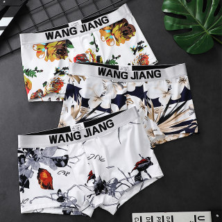 New Ice Silk Men's Underwear, Summer Thin Boxer Briefs, Printed Breathable Trendy Brand Boys' Youth Boxer Briefs