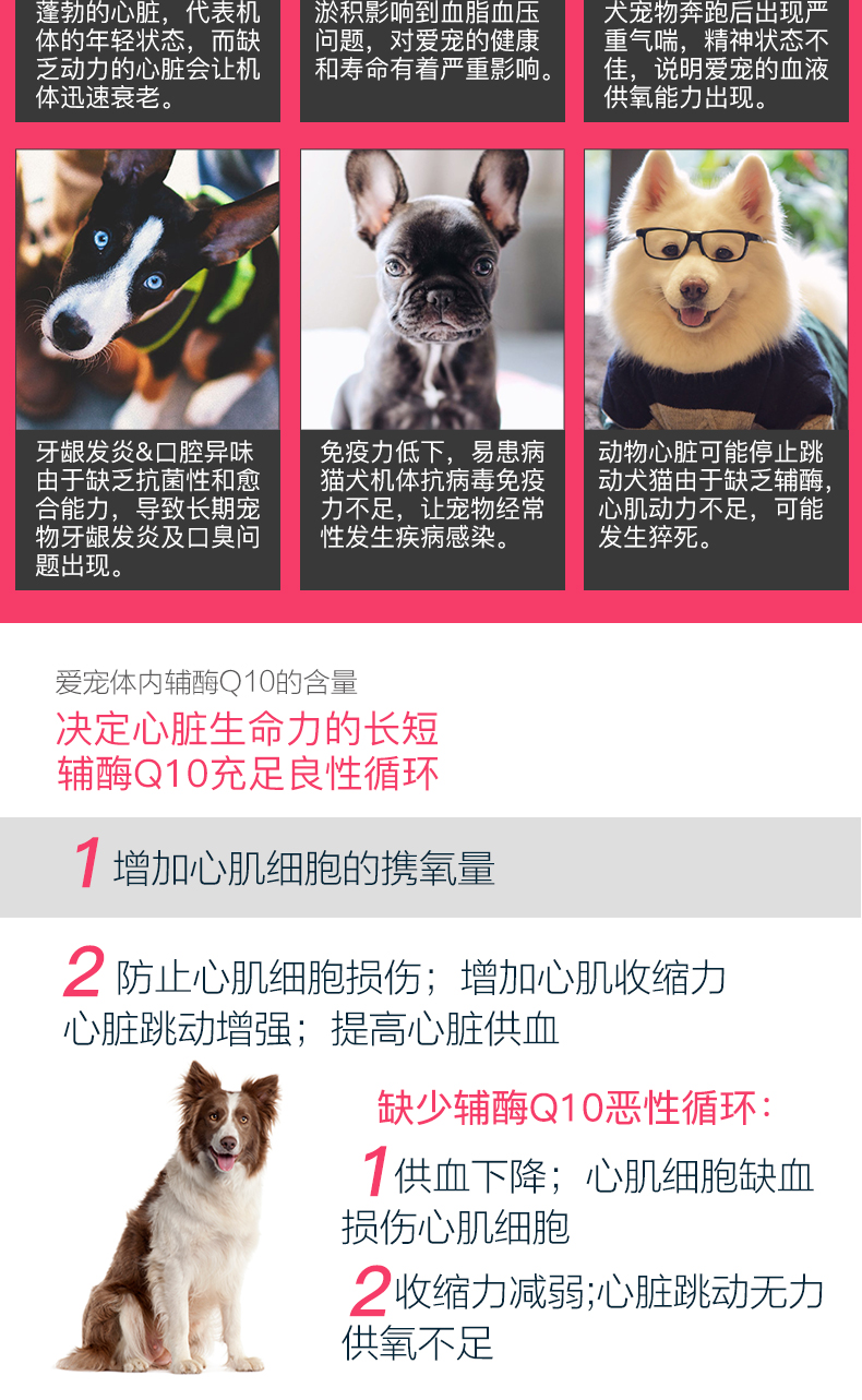 2 chai Pet Coenzyme q10 Cat Dog General Yi Xin Kang Tim Tim Tim mạch Sản phẩm sức khỏe - Cat / Dog Health bổ sung cho mèo con uống sữa gì